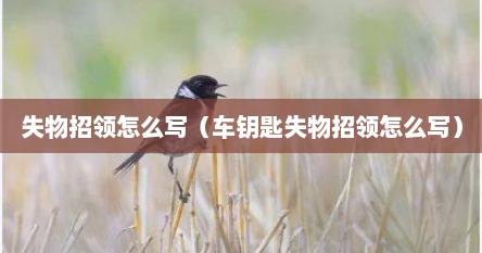 失物招领怎么写（车钥匙失物招领怎么写）