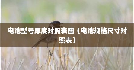 电池型号厚度对照表图（电池规格尺寸对照表）