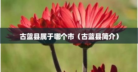 古蓝县属于哪个市（古蓝县简介）