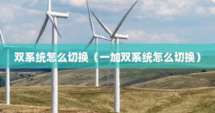 双系统如何切换到另一个系统（双系统怎么切换手机）