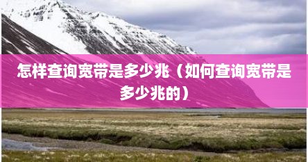 怎样查询宽带是多少兆（如何查询宽带是多少兆的）