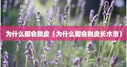 为什么脚会脱皮（为什么脚会脱皮长水泡）