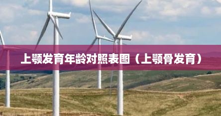 上颚发育年龄对照表图（上颚骨发育）