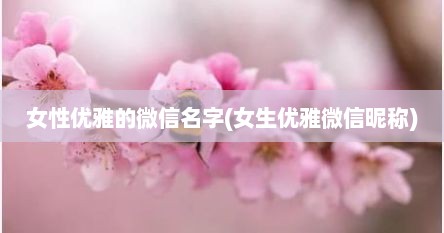 女性优雅的微信名字(女生优雅微信昵称)