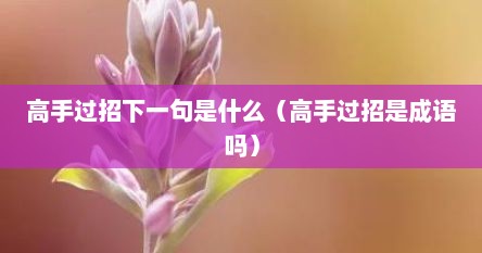 高手过招下一句是什么（高手过招是成语吗）