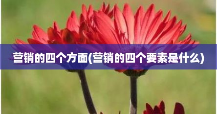 营销的四个方面(营销的四个要素是什么)