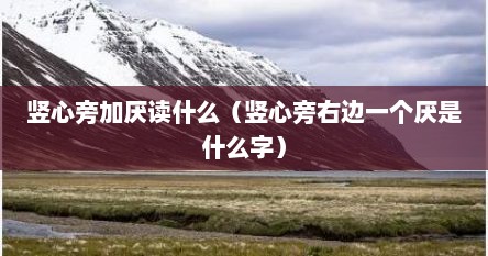 竖心旁加厌读什么（竖心旁右边一个厌是什么字）
