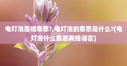 电灯泡是啥意思?,电灯泡的意思是什么?(电灯泡什么意思网络语言)