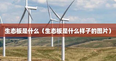 生态板是什么（生态板是什么样子的图片）