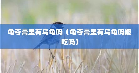 龟苓膏里有乌龟吗（龟苓膏里有乌龟吗能吃吗）