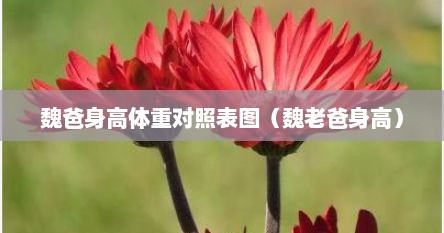 魏爸身高体重对照表图（魏老爸身高）
