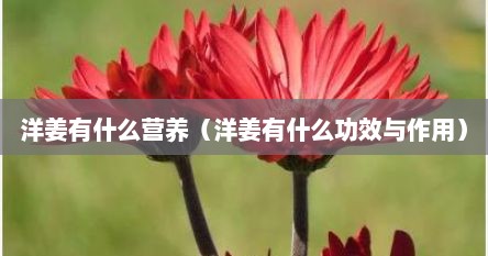 洋姜有什么营养（洋姜有什么功效与作用）