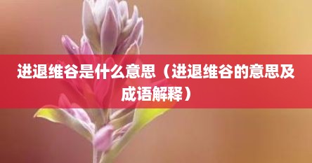 进退维谷是什么意思（进退维谷的意思及成语解释）