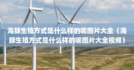 海豚生殖方式是什么样的呢图片大全（海豚生殖方式是什么样的呢图片大全视频）