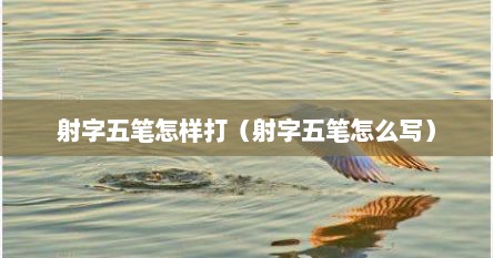 射字五笔怎样打（射字五笔怎么写）