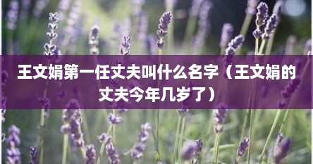 王文娟第一任丈夫叫什么名字(王文娟的丈夫今年几岁了)