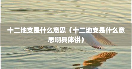 十二地支是什么意思（十二地支是什么意思啊具体讲）