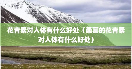 花青素对人体有什么好处（桑葚的花青素对人体有什么好处）
