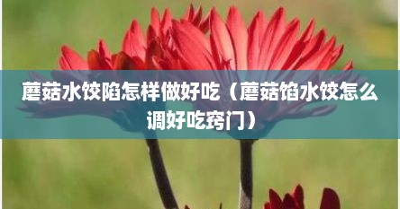 蘑菇水饺陷怎样做好吃（蘑菇馅水饺怎么调好吃窍门）