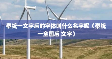 秦统一全国后统一文字标准（秦统一后,文字）