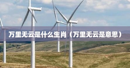 万里无云是什么生肖（万里无云是意思）