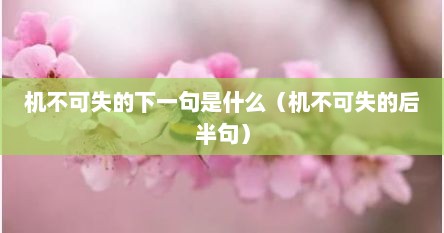 机不可失的下一句是什么（机不可失的后半句）