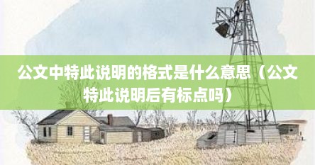 公文中特此说明的格式是什么意思（公文特此说明后有标点吗）