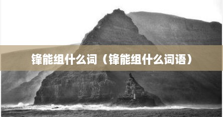 锋能组什么词（锋能组什么词语）