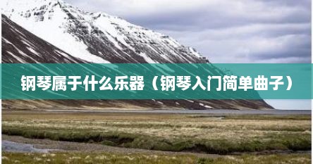 钢琴属于什么乐器（钢琴入门简单曲子）