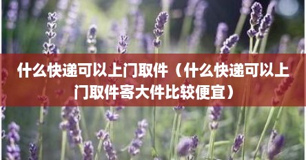 什么快递可以上门取件（什么快递可以上门取件寄大件比较便宜）