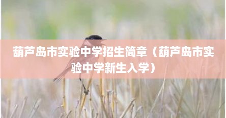 葫芦岛市实验中学招生简章（葫芦岛市实验中学新生入学）