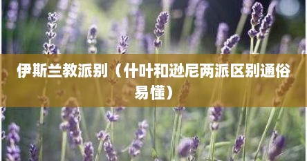 伊斯兰教派别（什叶和逊尼两派区别通俗易懂）