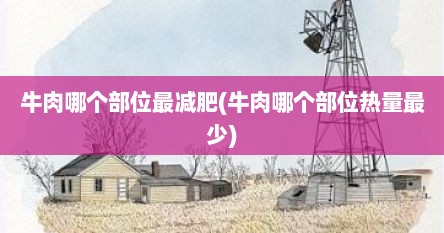 牛肉哪个部位最减肥(牛肉哪个部位热量最少)