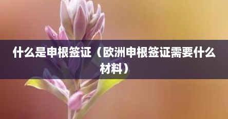 什么是申根国和申根签（什么是申根签证）