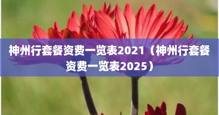 神州行套餐资费一览表2021（神州行套餐资费一览表2025）
