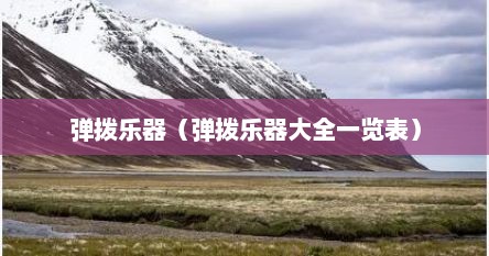 弹拨乐器（弹拨乐器大全一览表）