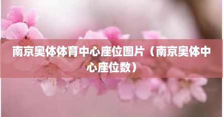 南京奥体体育中心座位图片（南京奥体中心座位数）
