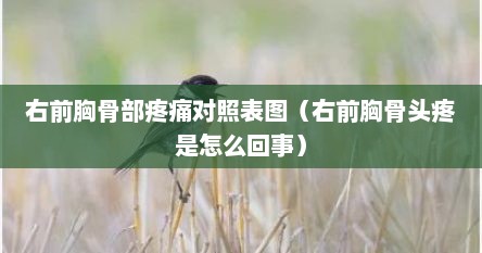 右前胸骨部疼痛对照表图（右前胸骨头疼是怎么回事）