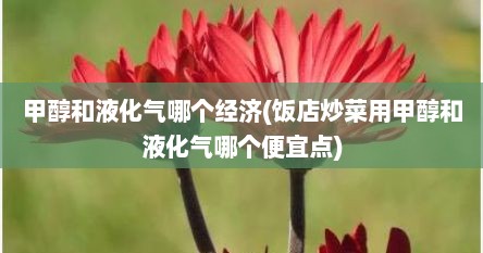 甲醇和液化气哪个经济(饭店炒菜用甲醇和液化气哪个便宜点)