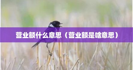 营业额什么意思（营业额是啥意思）
