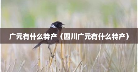 广元有什么特产（四川广元有什么特产）