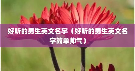 好听的男生英文名字（好听的男生英文名字简单帅气）