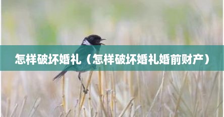 怎样破坏婚礼（怎样破坏婚礼婚前财产）