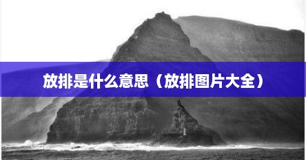 放排是什么意思（放排图片大全）