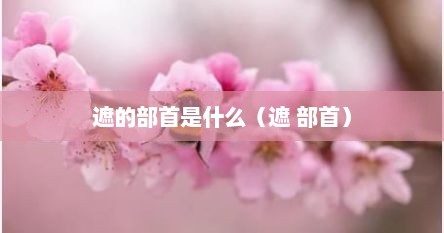 遮的部首是什么（遮 部首）