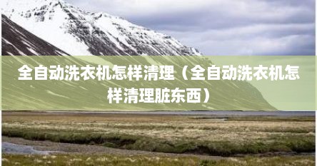 全自动洗衣机怎样清理（全自动洗衣机怎样清理脏东西）