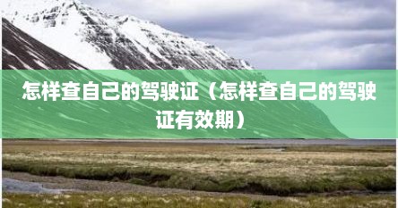 怎样查自己的驾驶证（怎样查自己的驾驶证有效期）