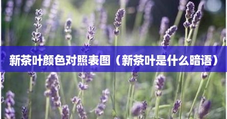 新茶叶颜色对照表图（新茶叶是什么暗语）