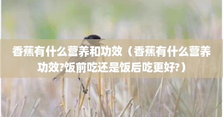 香蕉有什么营养和功效（香蕉有什么营养功效?饭前吃还是饭后吃更好?）