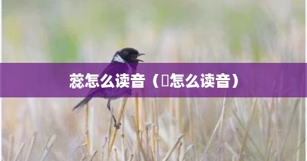 蕊怎么读音（惢怎么读音）